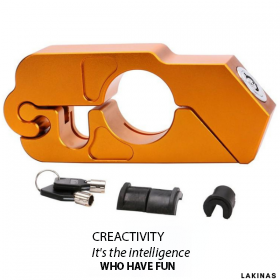 Universal Anti-Theft Device