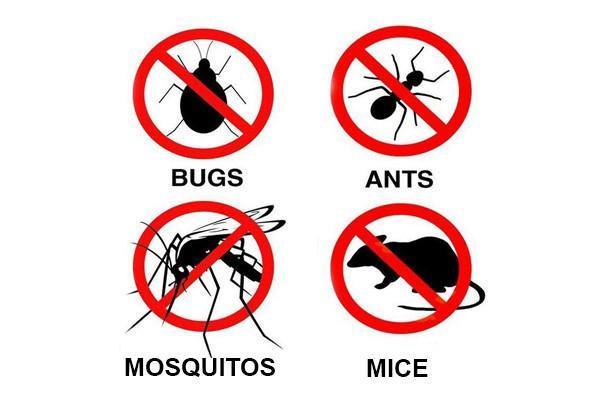 Ultra-Sonic Pest Repellent