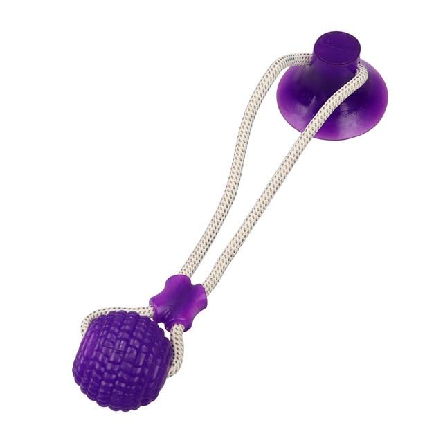 Suction Cup Dog Tug Toy
