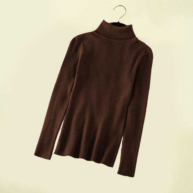 Ultra-Soft Thermal Turtle Neck Jumper