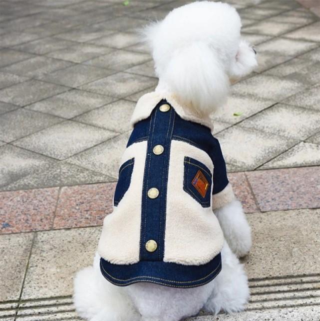 Denim jacket for dog