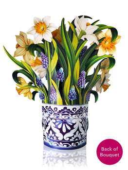 English Daffodils