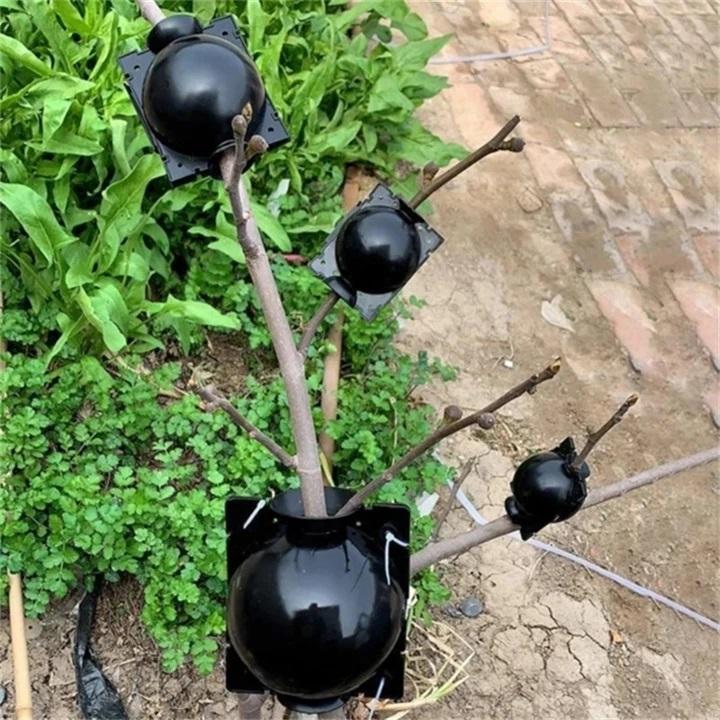 Ball of Propagation high pressure of the plants marcottage