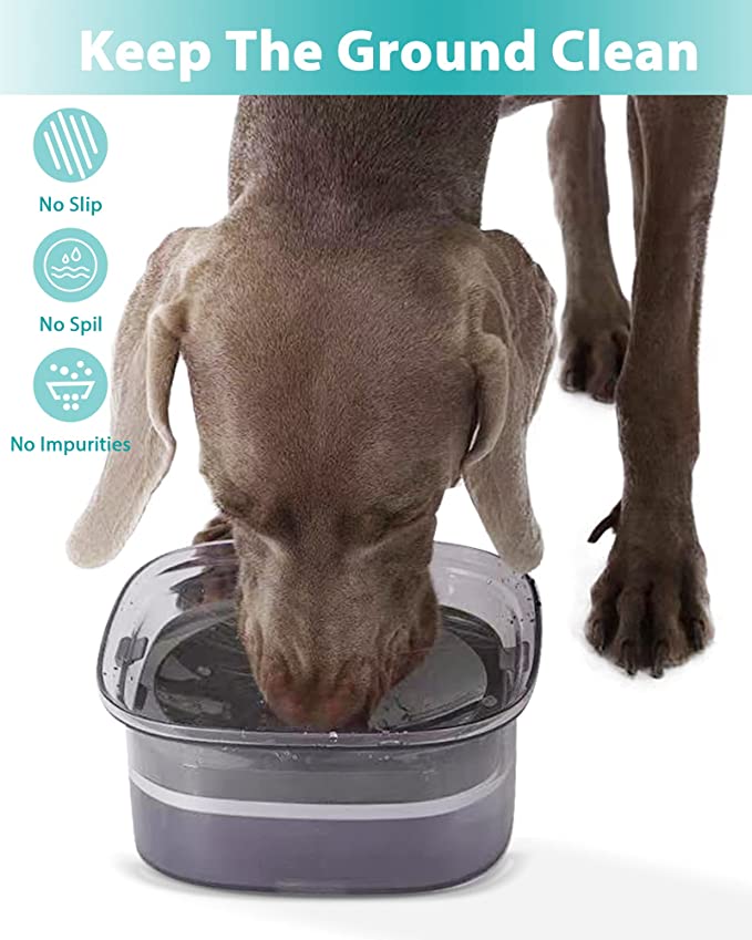 The anti-spill water bowl for dogs
