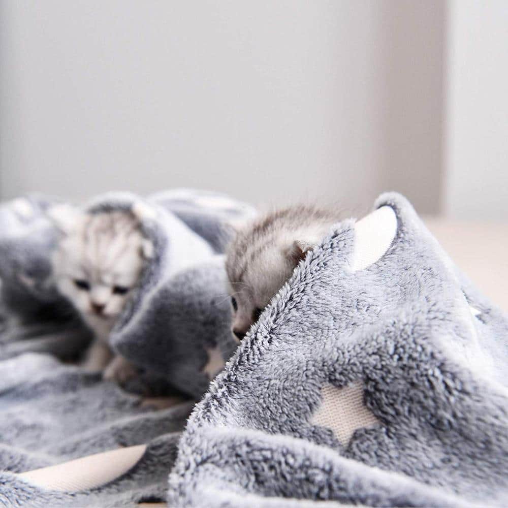 Magic Glow-In-The-Dark Blanket