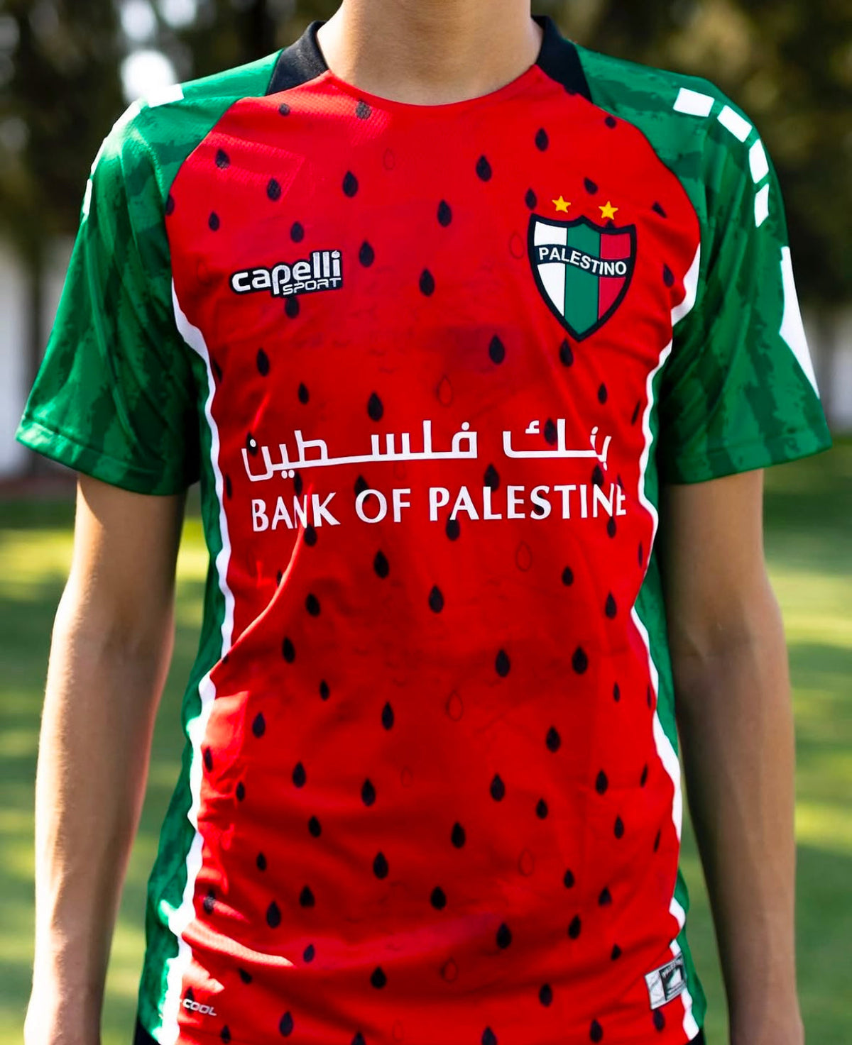 Palestine Watermelon Football Jersey Pelestino 2025/2026