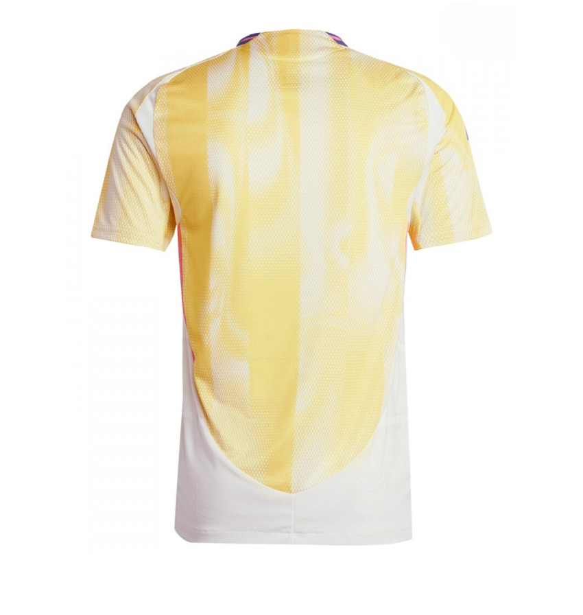 Maillot extérieur de la Juventus 2024/2025