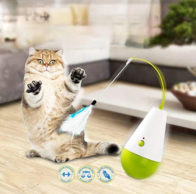 Interactive cat toy