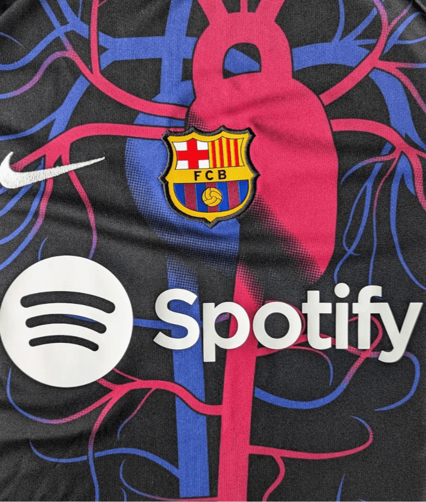 MAGLIA SPECIAL EDITION DEL BARCELLONA «CATALAN VEINS» 2024/25