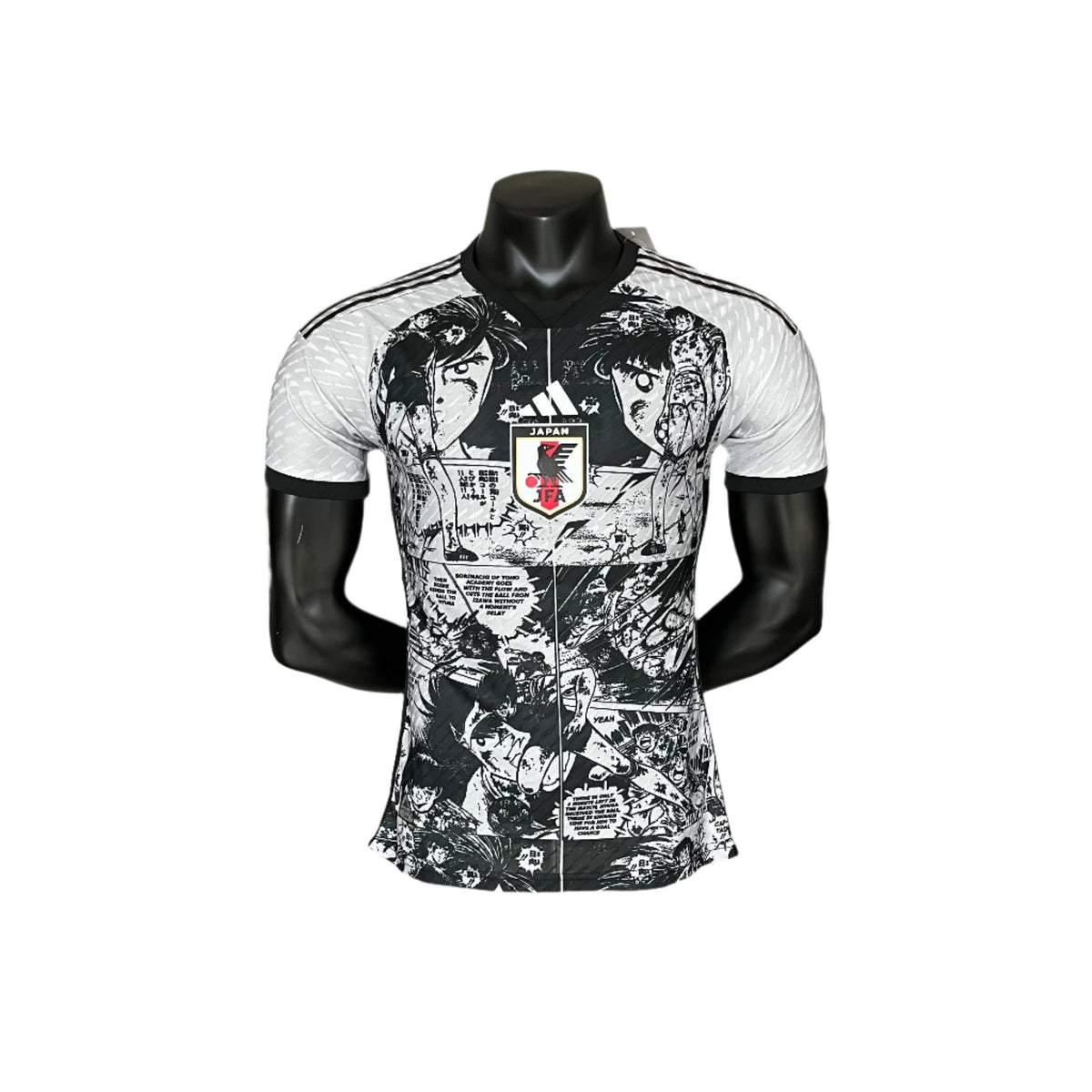 Japan 24-25 | Player Version