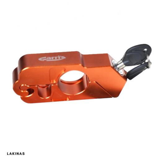 Universal Anti-Theft Device